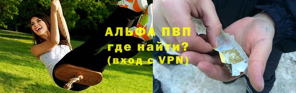 сатива Алзамай
