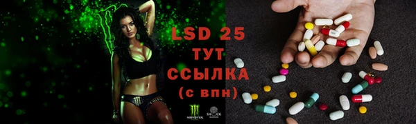прущие крисы Алексеевка