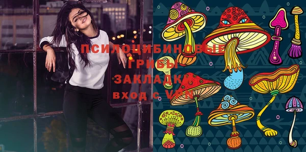 молекула духа Алексин