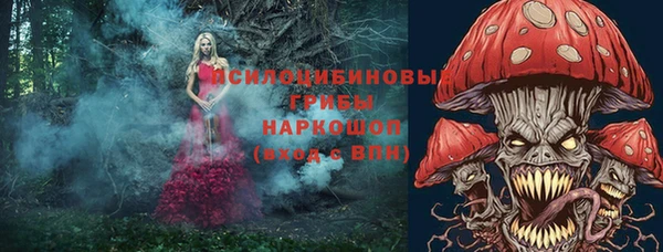 молекула духа Алексин