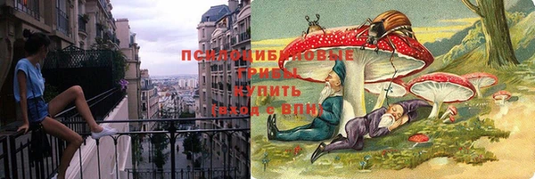 ECSTASY Няндома